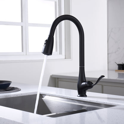 Kitchen Faucet - D3004 Matte Black