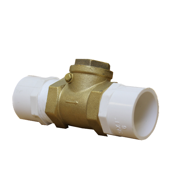 Spa Check Valve 3/4