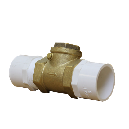 Spa Check Valve 3/4