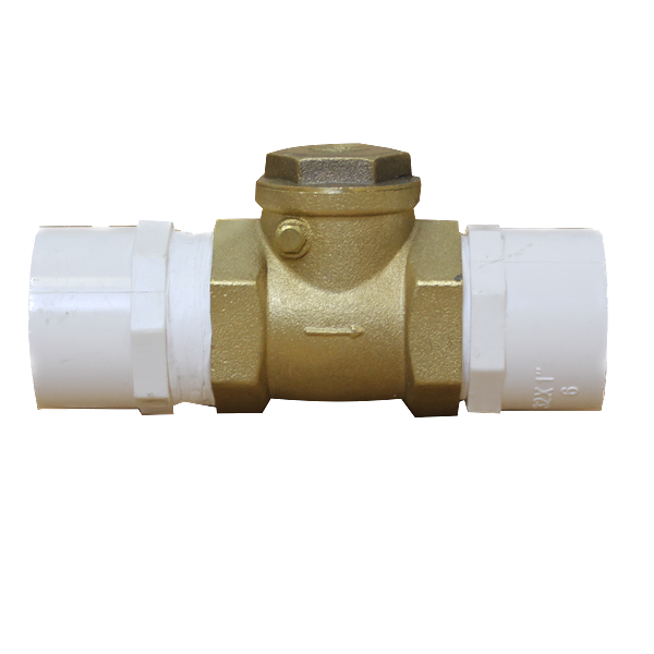Spa Check Valve 3/4