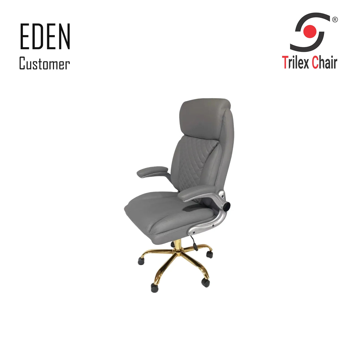 Eden Customer Gray - Inventory