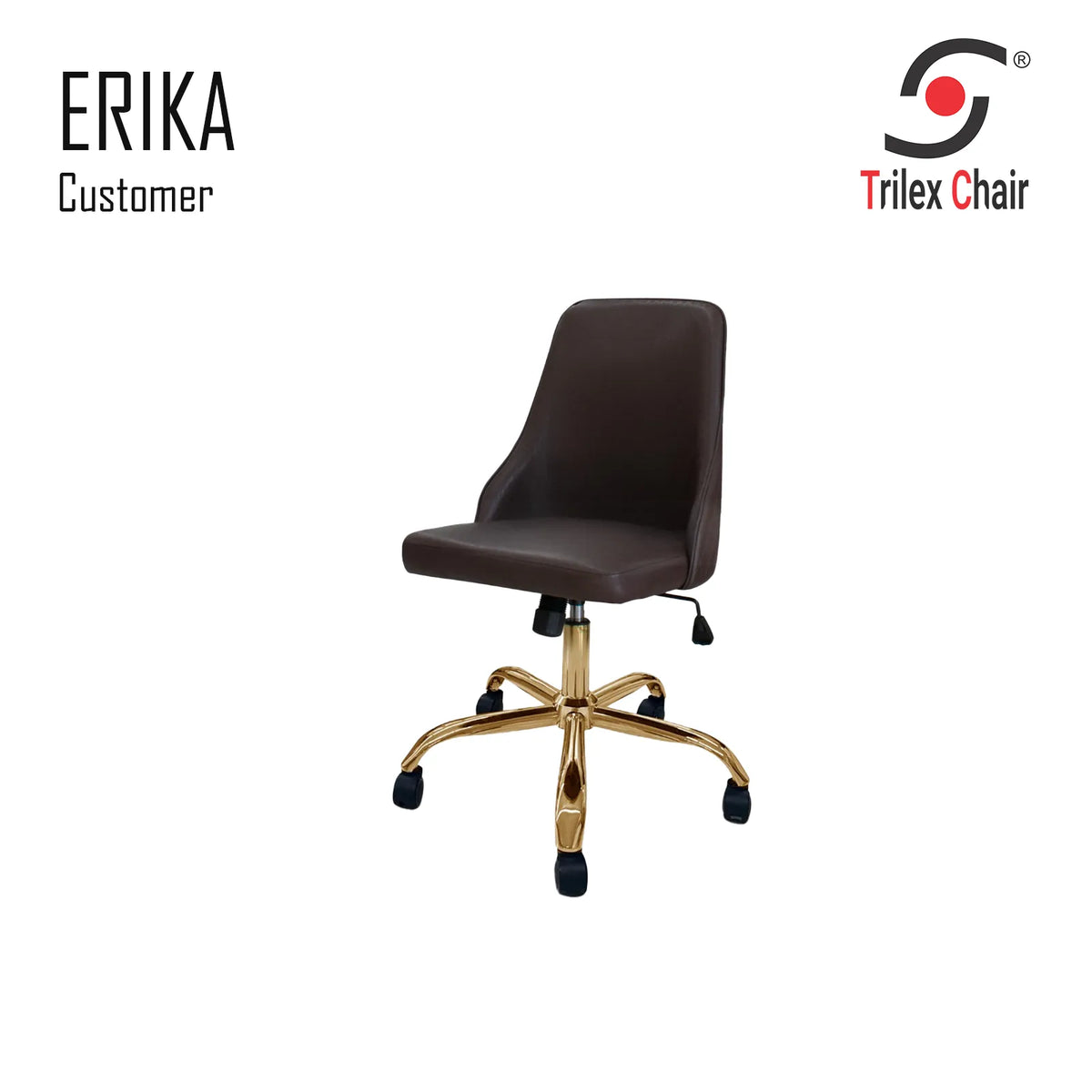 Erika Customer Chair Choco