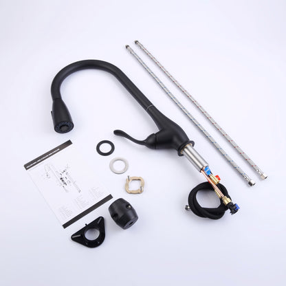 Kitchen Faucet - D3004 Matte Black