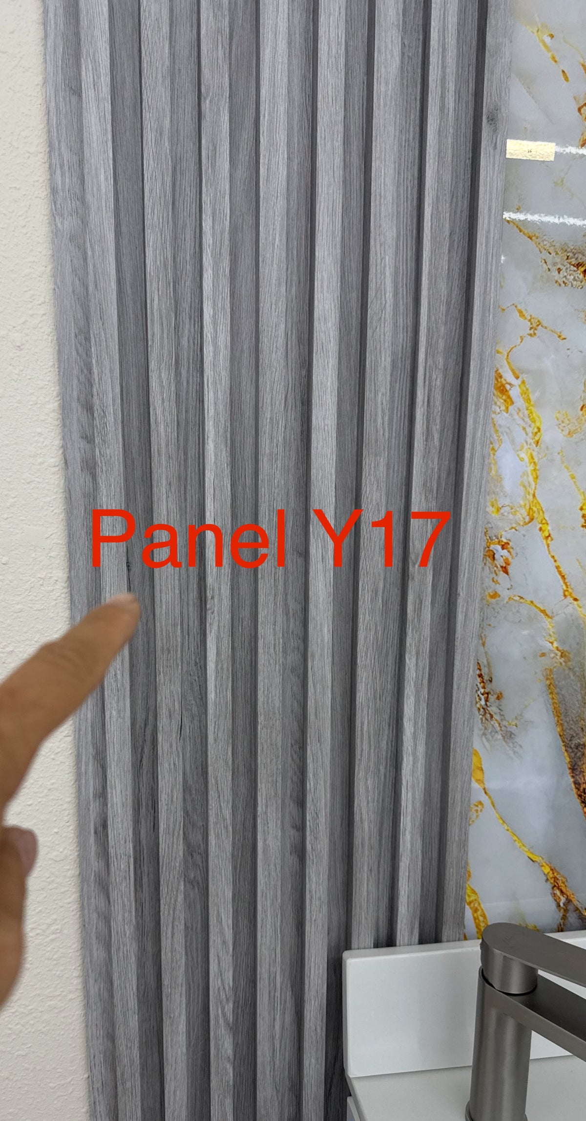 Panel Y17