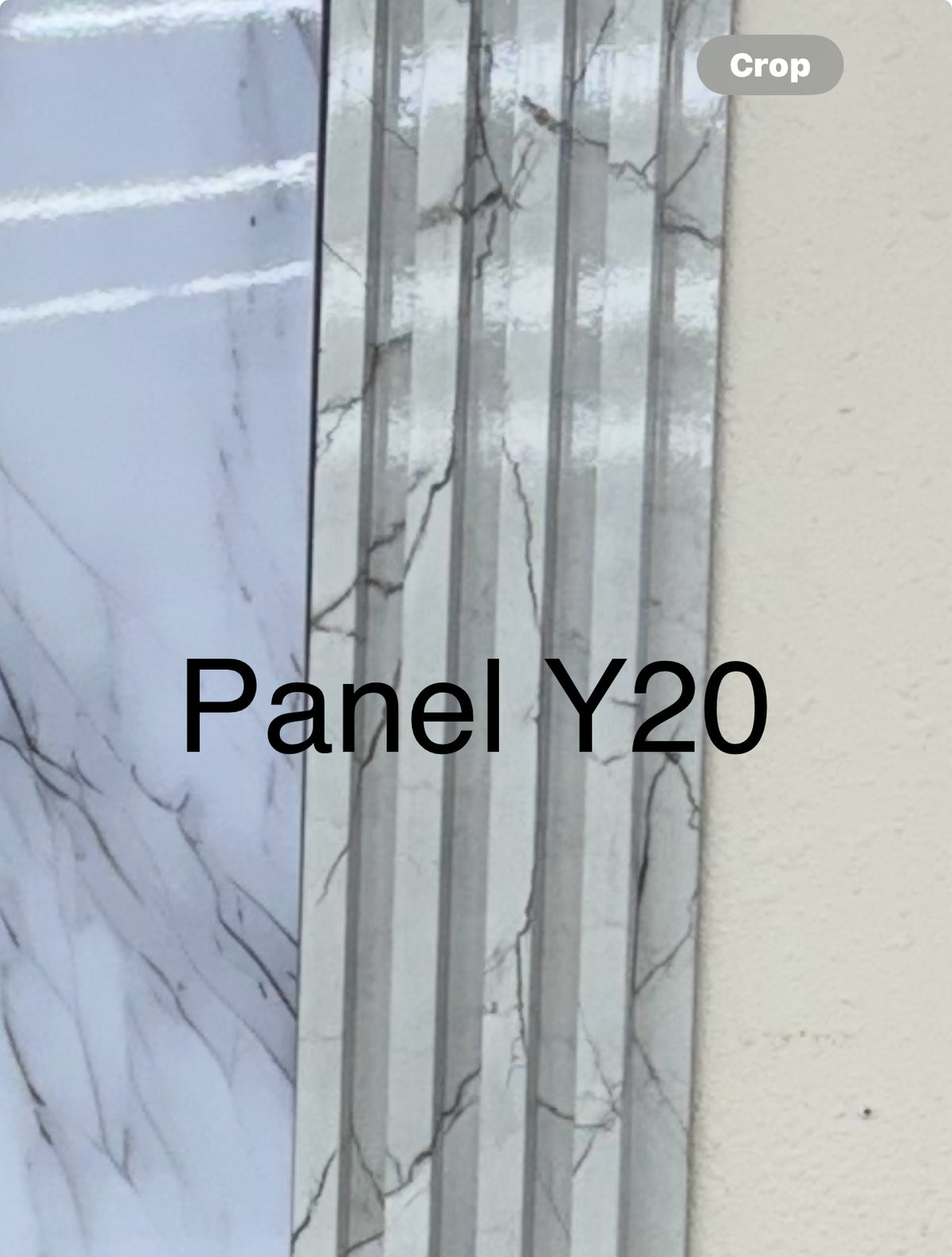 Panel Y20