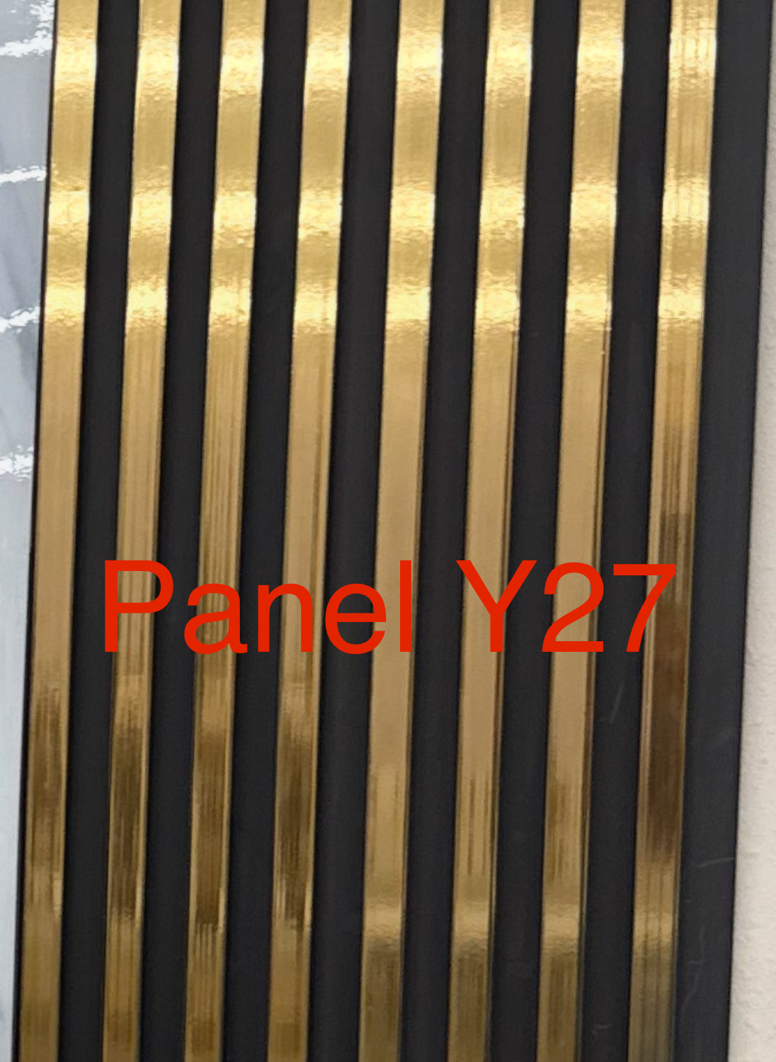 Panel Y27