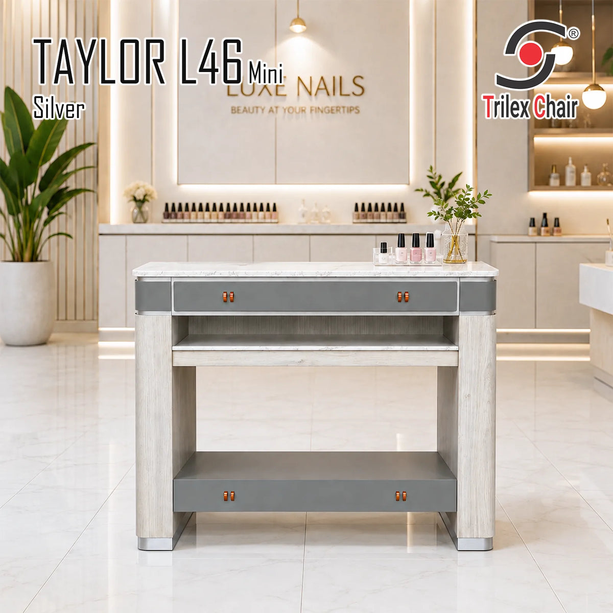 Taylor Silver Dryer L46 Mini