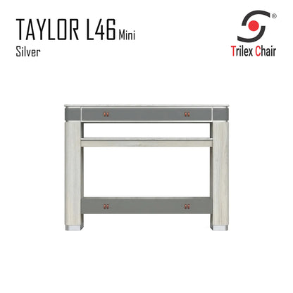 Taylor Silver Dryer L46 Mini