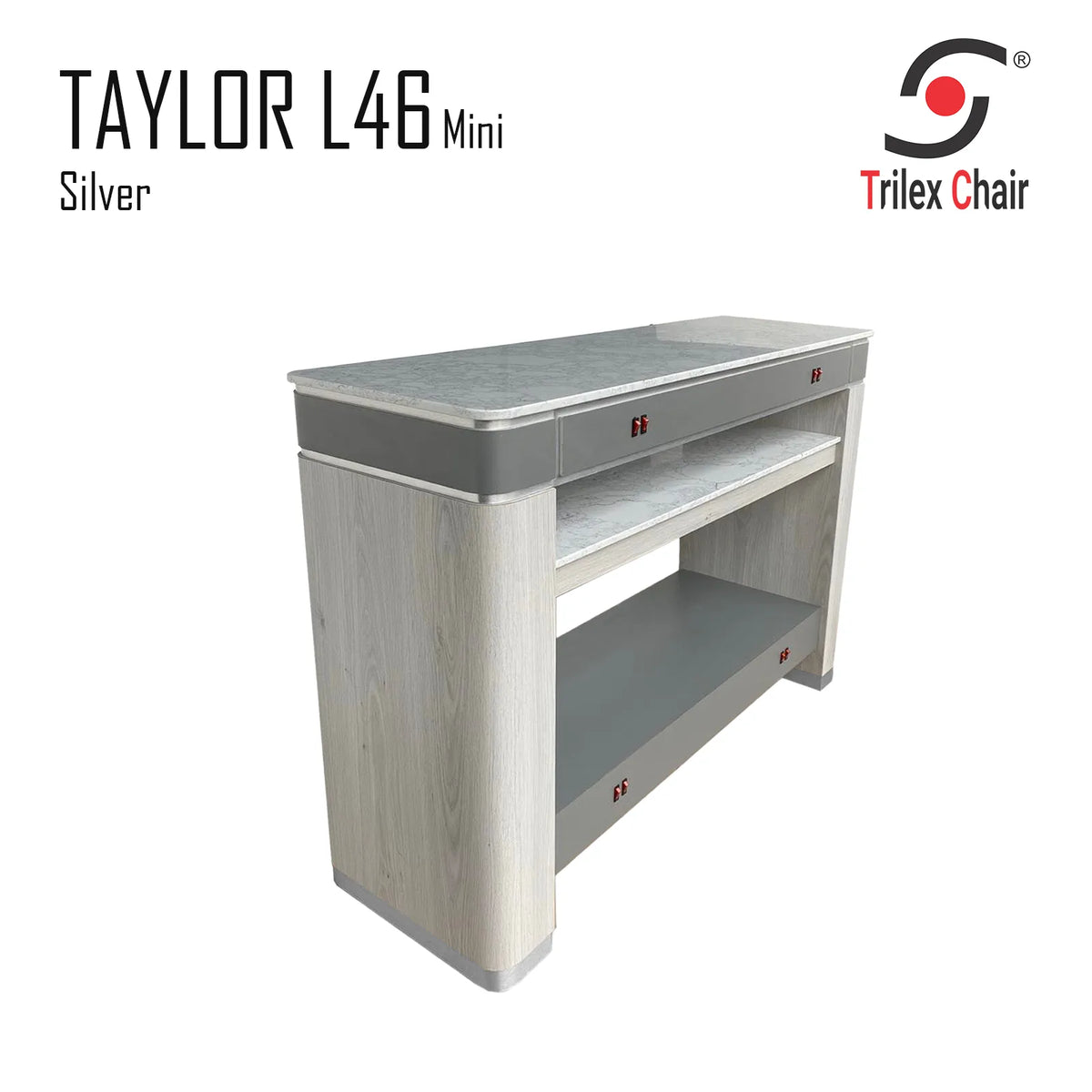 Taylor Silver Dryer L46 Mini
