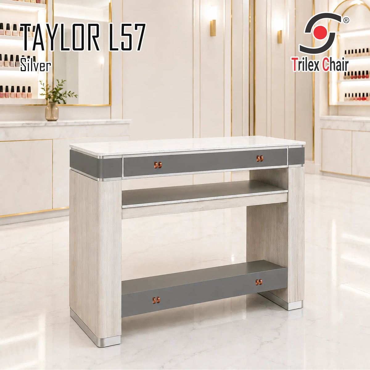 Taylor Silver Dryer L57