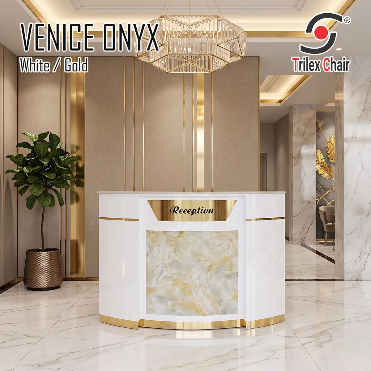 VeniceReceptionOnyx3D